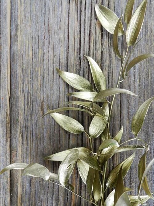 ITALIAN RUSCUS PAINTED GOLD TINTED